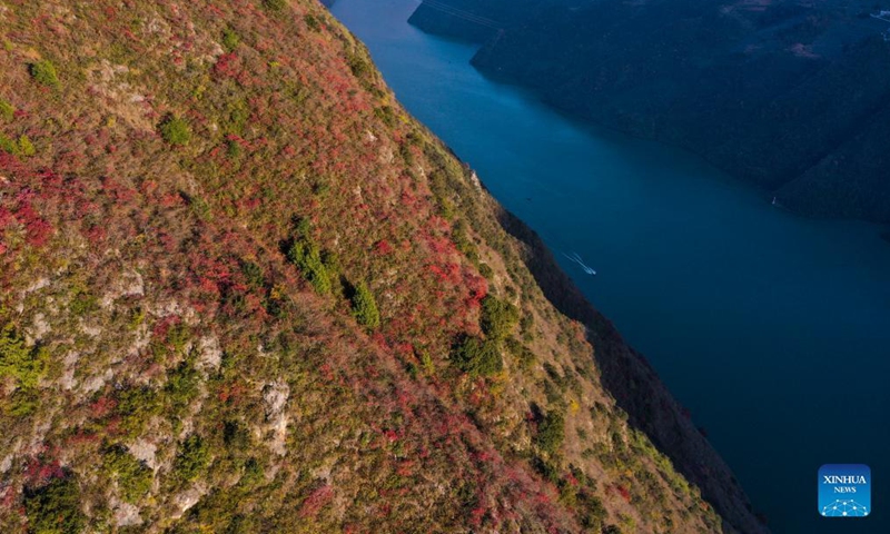 Aerial photo taken on Nov. 25, 2021 shows the early winter scenery of the Wuxia Gorge, one of the Three Gorges on the Yangtze River, in Wushan County, southwest China's Chongqing Municipality.Photo:Xinhua