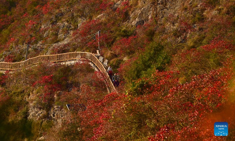 Tourists visit the Wenfeng Scenic Area along the Wuxia Gorge, one of the Three Gorges on the Yangtze River, in Wushan County, southwest China's Chongqing Municipality, Nov. 25, 2021.Photo:Xinhua