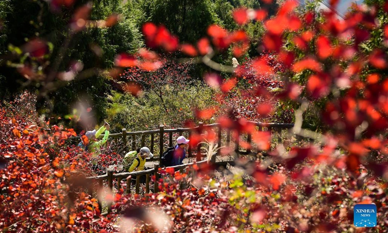 Tourists visit the Wenfeng Scenic Area along the Wuxia Gorge, one of the Three Gorges on the Yangtze River, in Wushan County, southwest China's Chongqing Municipality, Nov. 25, 2021.Photo:Xinhua