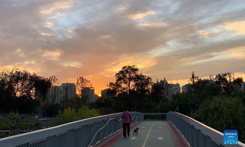 Photo taken with a mobile phone shows a woman walking her dog at sunset in Xicheng District of Beijing, capital of China, Oct. 10, 2021.Photo:Xinhua