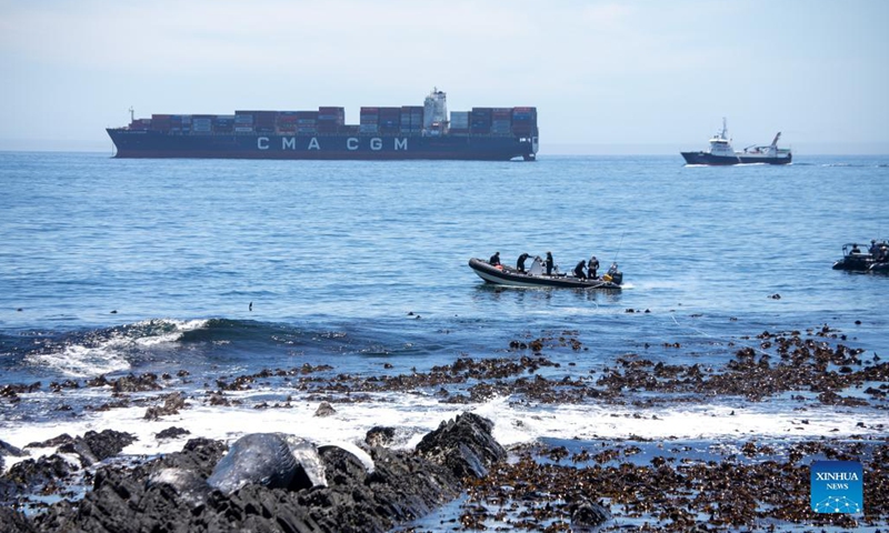 People prepare to move a humpback whale carcass on the shore in Cape Town, South Africa, Dec. 9, 2021. Local government tried to move the humpback whale carcass with assistance of the police and the National Sea Rescue Institute after it was spotted on Thursday morning, local media reported.Photo:Xinhua