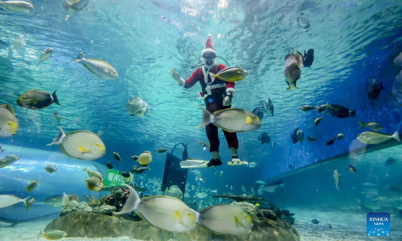 Aquasanta divers seen in Manila Ocean Park, Philippines - Global Times