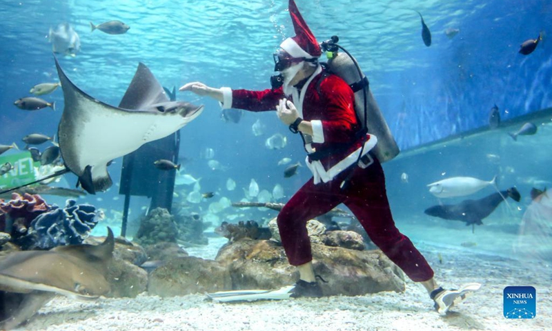 A diver wearing a Santa Claus costume interacts with marine creatures inside the oceanarium of the Manila Ocean Park in Manila, the Philippines on December 16, 2021.(Photo: Xinhua)