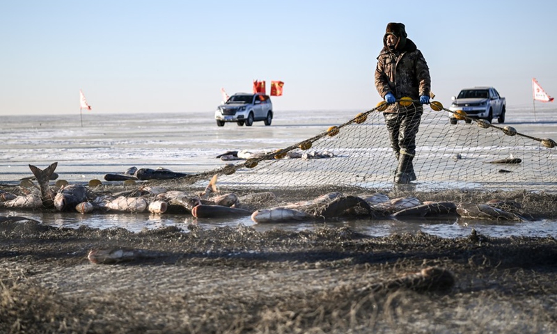 A fisherman harvests fish on Chagan Lake in Songyuan City, northeast China's Jilin Province, Dec. 26, 2021.(Photo: Xinhua)