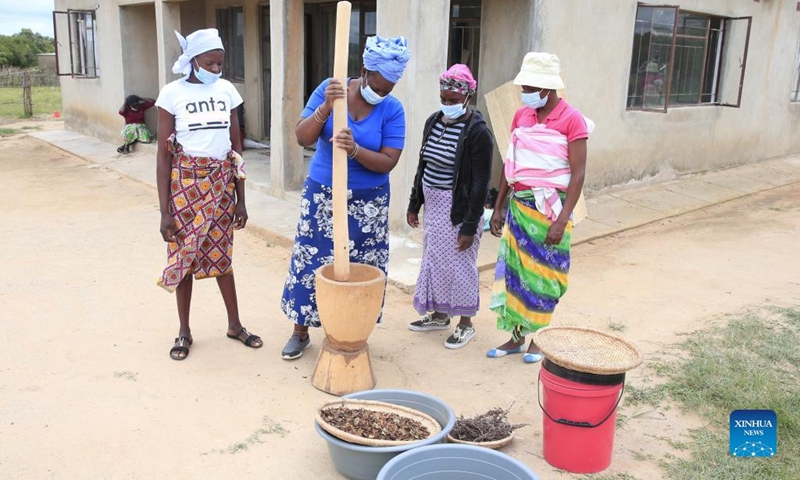 Tsitsi Machingauta (2nd L), Founder and National Coordinator of the Women's Farming Syndicate (WFS), pounds traditional herbs in Domboshava, Mashonaland East Province, Zimbabwe, on Dec. 21, 2021.(Photo: Xinhua)