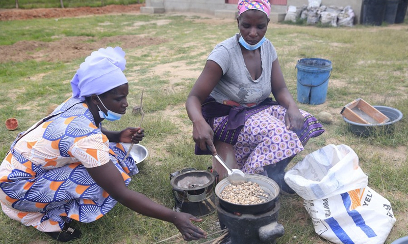 Members of the Women's Farming Syndicate (WFS) roast baobab fruit seeds in Domboshava, Mashonaland East Province, Zimbabwe, on Dec. 21, 2021.(Photo: Xinhua)