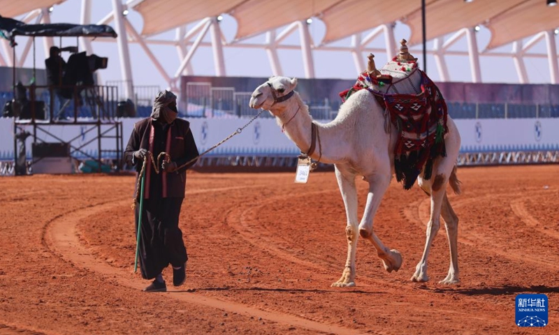 A camel is shown during the King Abdulaziz Camel Festival in north of Riyadh, Saudi Arabia, on Jan. 5, 2022. The festival kicked off here on Dec. 1, 2021, with the participation of about 33,000 camel owners.(Photo: Xinhua)