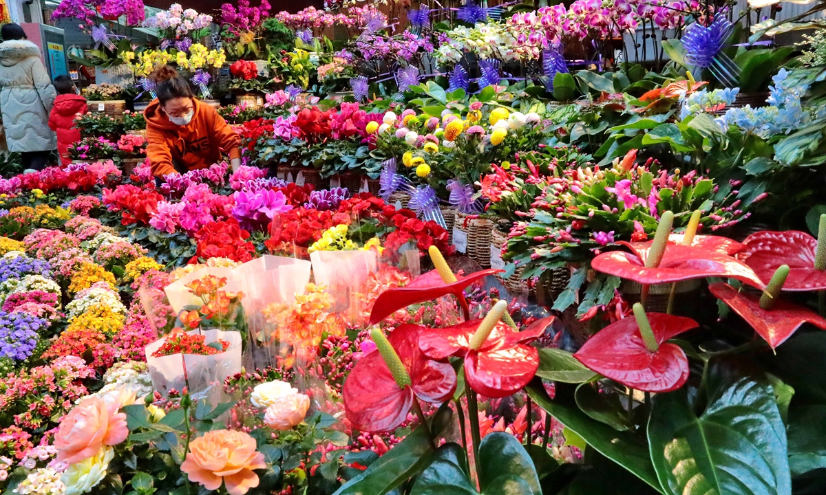 A flower market is seen in Qinhuangdao, North China's Hebei Province on January 11. Ahead of the Spring Festival, which falls on February 1, vendors have placed flowers that represent luck and happiness in plain sight, which is attracting people to make purchases. Photo: cnsphotos