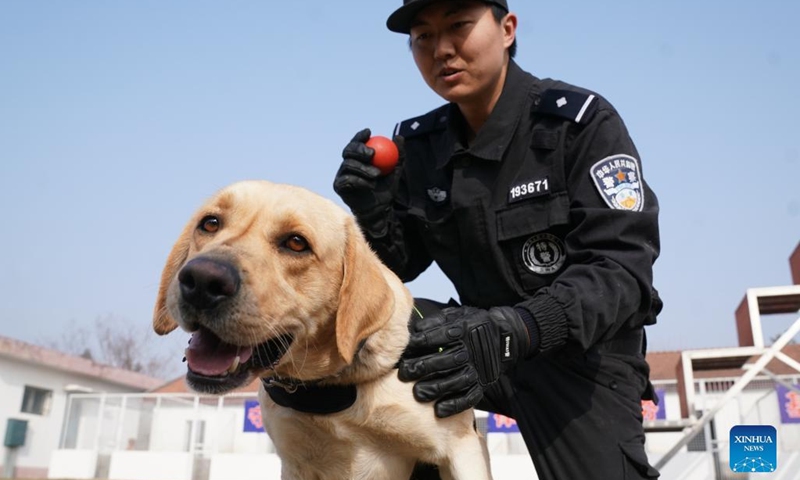 Police dogs in Wuhan trained to ensure safety of passengers during ...