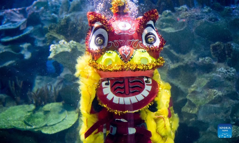 Divers dressed as a lion and a Fortune God stage an underwater performance in celebration of the Chinese Lunar New Year during a media preview at the Aquaria KLCC aquarium in Kuala Lumpur, Malaysia, Jan. 21, 2022.Photo:Xinhua