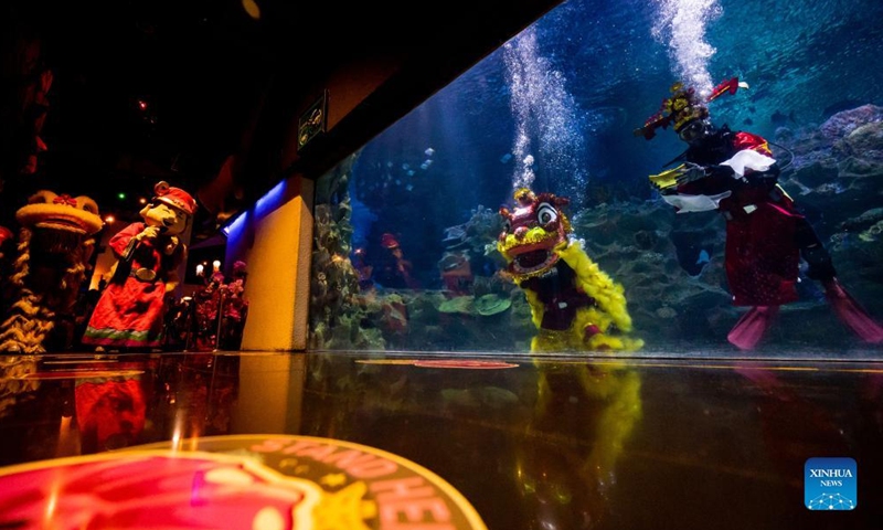 Divers dressed as a lion and a Fortune God stage an underwater performance in celebration of the Chinese Lunar New Year during a media preview at the Aquaria KLCC aquarium in Kuala Lumpur, Malaysia, Jan. 21, 2022.Photo:Xinhua