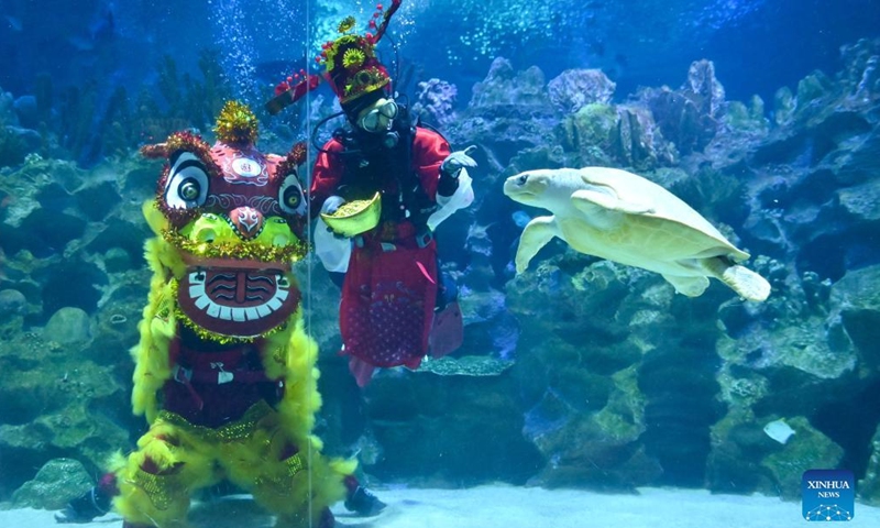 Divers dressed as a lion and a Fortune God stage an underwater performance in celebration of the Chinese Lunar New Year during a media preview at the Aquaria KLCC aquarium in Kuala Lumpur, Malaysia, Jan. 21, 2022.Photo:Xinhua