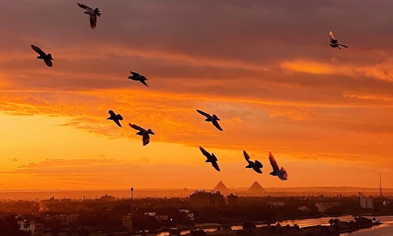 Flaming clouds are seen at sunset in Cairo, Egypt, on Jan. 26, 2022.Photo:Xinhua