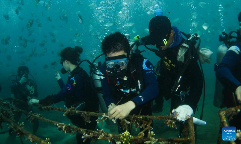 Tourists plant corals near Wuzhizhou Island of Sanya, south China's Hainan Province, Jan. 30, 2022. A coral planting activity was held here to greet the upcoming Chinese Lunar New Year and to raise public awareness of marine environmental protection. (Xinhua/Yang Guanyu)