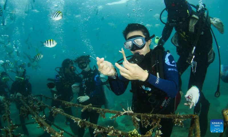 Tourists plant corals near Wuzhizhou Island of Sanya, south China's Hainan Province, Jan. 30, 2022. A coral planting activity was held here to greet the upcoming Chinese Lunar New Year and to raise public awareness of marine environmental protection. (Xinhua/Yang Guanyu)