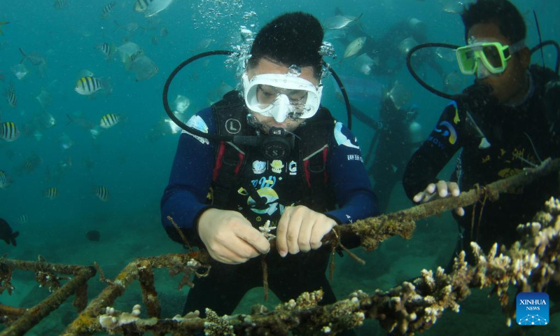 Tourists plant corals near Wuzhizhou Island of Sanya, south China's Hainan Province, Jan. 30, 2022. A coral planting activity was held here to greet the upcoming Chinese Lunar New Year and to raise public awareness of marine environmental protection. (Xinhua/Yang Guanyu)