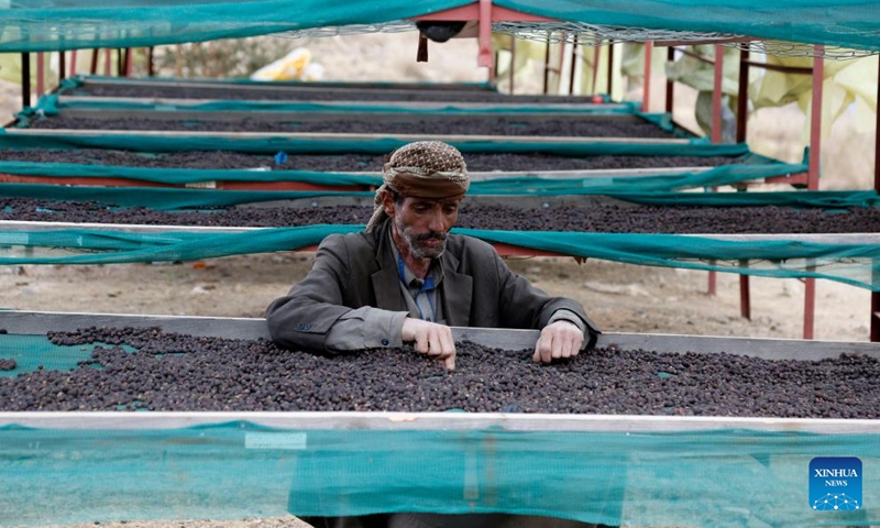 A Yemeni farmer dries coffee beans in Bayt al-Nahimy village of the Manakhah district, Sanaa province, Yemen, on Feb. 14, 2022.Photo:Xinhua