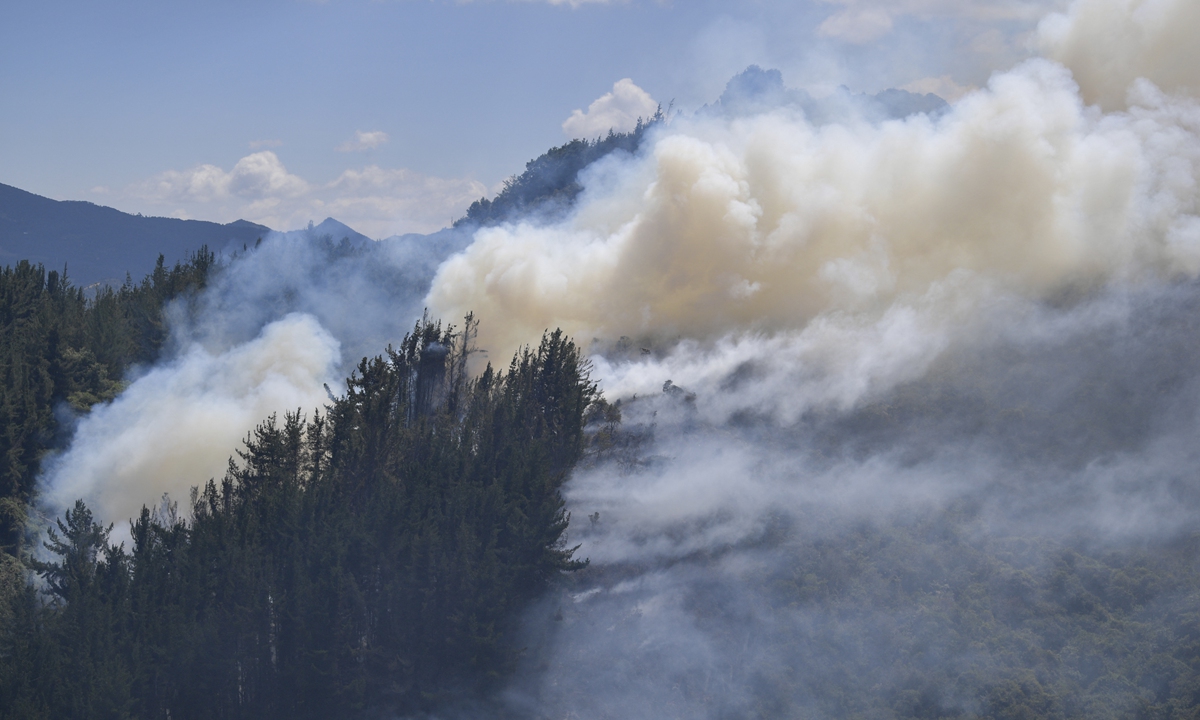 A view of the forest fire started after authorities found and burned a laboratory for cocaine process in Guasca, Colombia on February 13, 2020. Photos: AFP