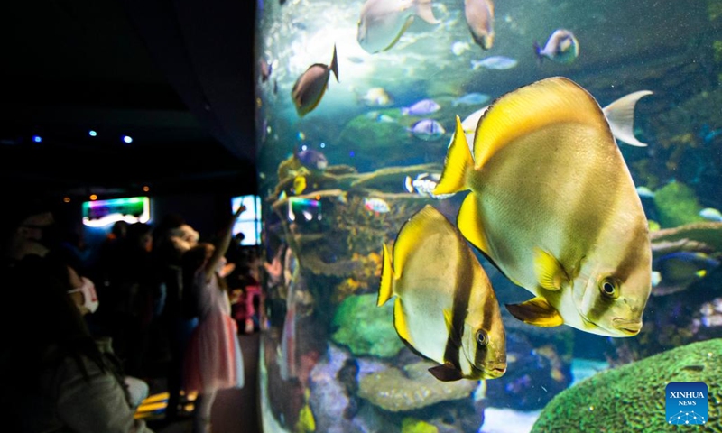 Visitors look at fishes in a water tank at Ripley's Aquarium of Canada in Toronto, Canada, on Feb. 21, 2022. The Ripley's Aquarium of Canada drew many families to celebrate Family Day on Monday. (Photo: Xinhua)