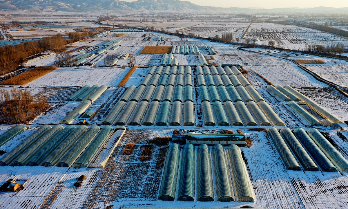 Aerial view of vegetable greenhouses in Zhangjiakou, North China's Hebei Province on February 24, 2022. The alpine plant center is cool, with few pests and brisk air, suitable for growing organic vegetables. Farmers reportedly have an annual income of 10,000 yuan ($1,580.75). Photo: VCG