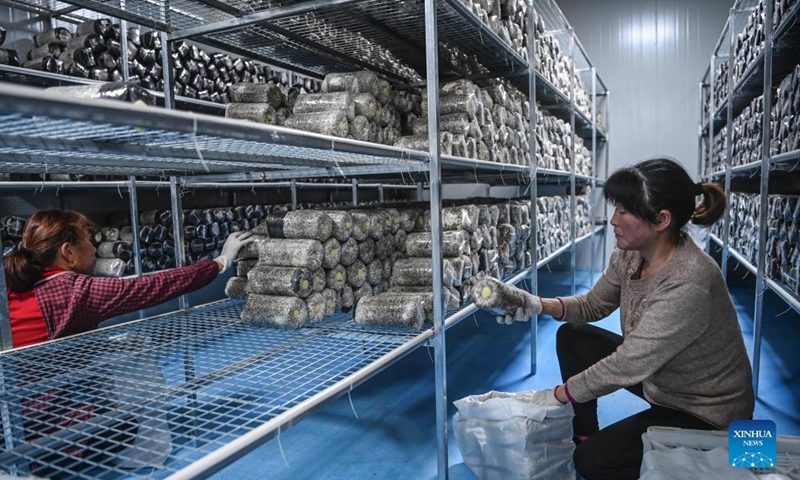 Worker pack edible fungi growing kits at an agricultural sci-tech company in Wuguanyi Township of Liuba County in Hanzhong, northwest China's Shaanxi Province, Feb 24, 2022.Photo:Xinhua