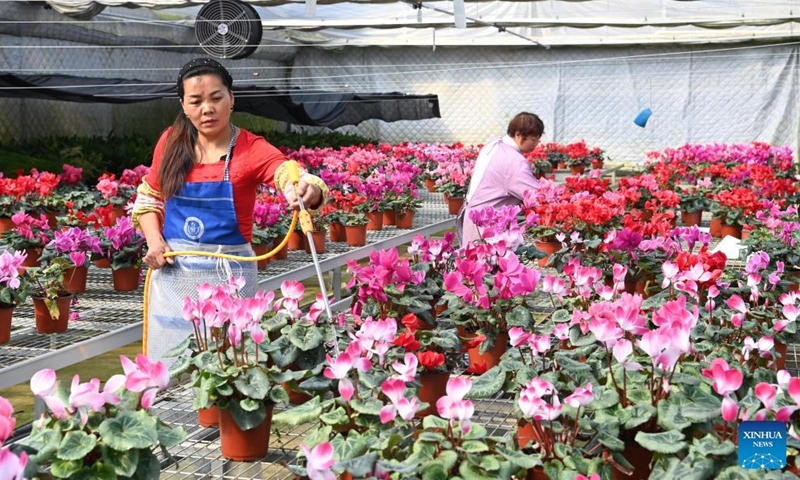 Employees water flowers at a flower cultivation base in Shaba Village of Liuba County in Hanzhong, northwest China's Shaanxi Province, Feb 24, 2022.Photo:Xinhua