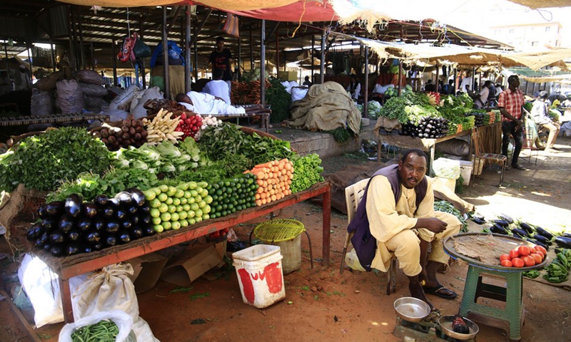 Food stocks in Sudan could run out in one month: UN - Global Times