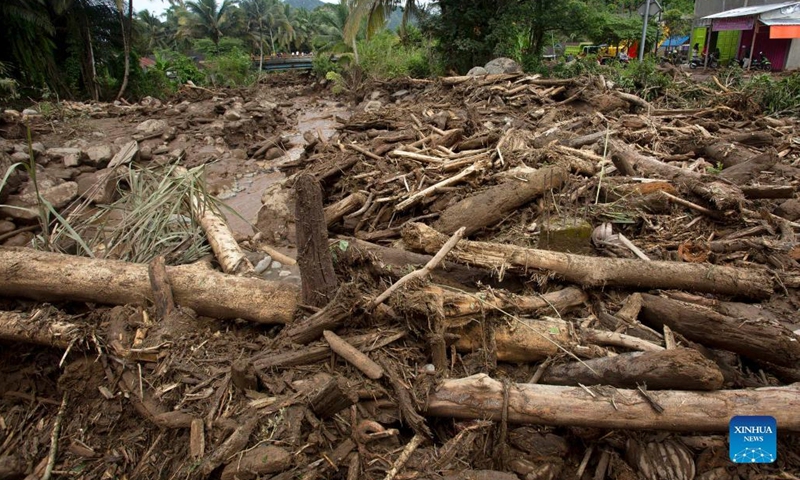 Photo taken on March 1, 2022 shows trees destroyed by floods triggered by heavy rains and rising waters of the Batang Nango river after a 6.1-magnitude quake in Nagari Kajai village of Pasaman Barat district, West Sumatra, Indonesia.(Photo: Xinhua)