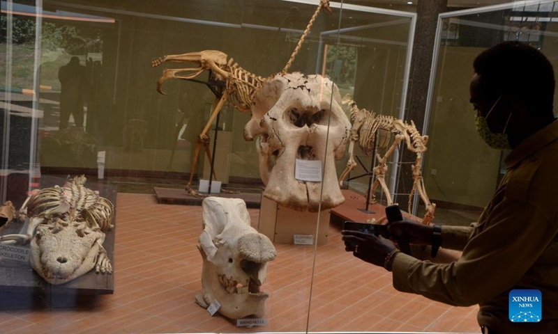 A man takes photos of rhino and elephant skulls during the World Wildlife Day celebrations at Uganda Wildlife Conservation Education Center in Entebbe, Uganda, on March 3, 2022.(Photo: Xinhua)