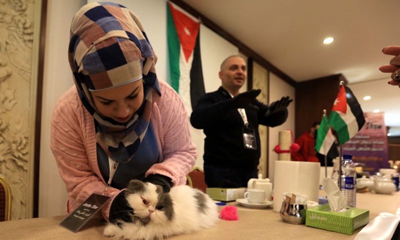 A judge interacts with a cat during a cat beauty pageant in Amman, Jordan, on March 5, 2022.Photo:Xinhua