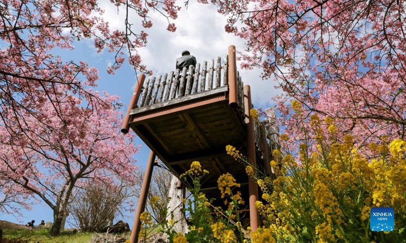 Spring scenery seen from Nishihirabatake Park in Kanagawa, Japan ...