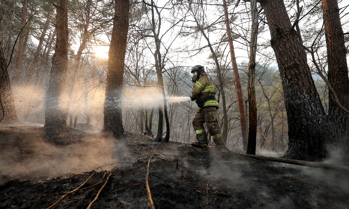 A firefighter sprays water at a wildfires in forest area of  Uljin County, North Gyeongsang Province, South Korea on March 7. The fire, which began on March 4 in the seaside town of Uljin and has spread across more than 14,800 acres to the nearby city of Samcheok, prompted the evacuation of more than 6,200 people. Photo: VCG