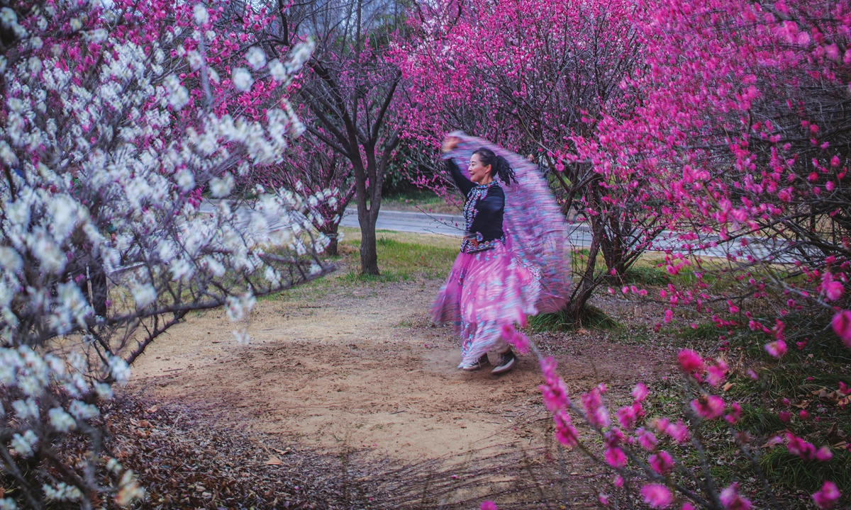 People dance under spring plums along the ancient Huaihe River in Huai'an, East China's Jiangsu Province, on March 6, 2022. Photo: IC
