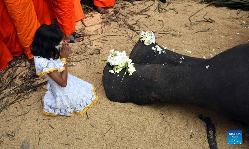 A girl mourns the death of the ceremonial tusker Nadungamuwa Raja in Gampaha, Sri Lanka, on March 7, 2022. Sri Lankan citizens on Monday mourned the death of the famous ceremonial tusker Nadungamuwa Raja, which died in the early hours of the day following a brief illness. The elephant was in its sixties at the time of its death.(Photo: Xinhua)