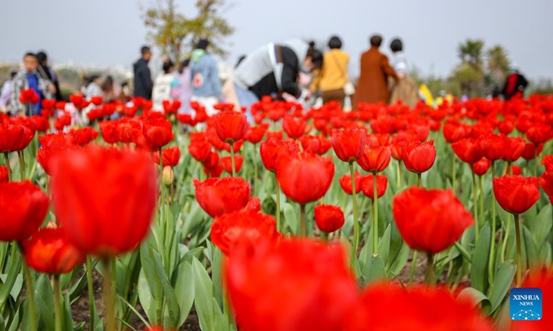 People view flowers in the springtime in Suining, southwest China's Sichuan Province, March 6, 2022. (Photo: Xinhua)