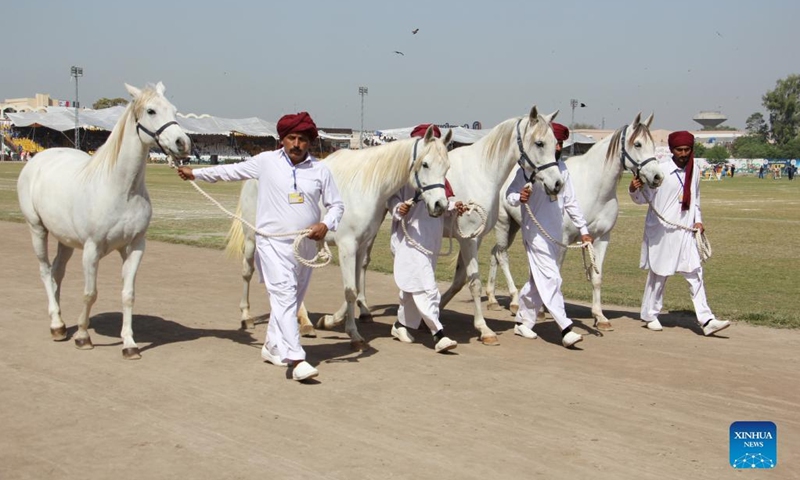 People walk with their horses during a horse and cattle show in Lahore, Pakistan on March 11, 2022.Photo:Xinhua