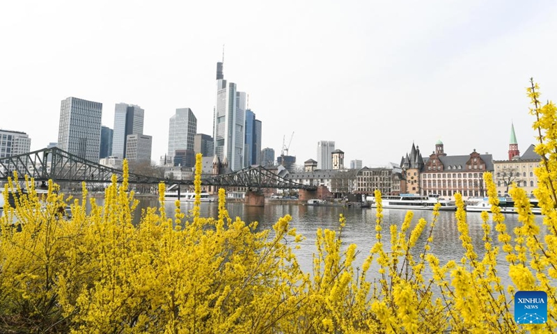 Flowers blossom on the bank of the Main River in Frankfurt, Germany, on March 16, 2022. (Xinhua/Lu Yang)