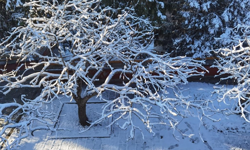 Photo taken with a mobile phone shows the snow scenery at Beihai Park in Beijing, capital of China, March 19, 2022.Photo:Xinhua