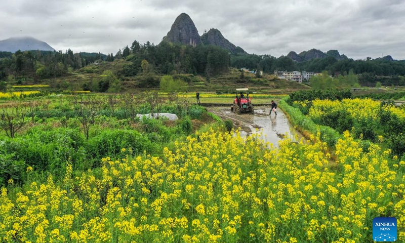 Aerial photo shows farmers working in the field in Longshan County of Xiangxi Tujia and Miao Autonomous Prefecture, central China's Hunan Province, on the date of Chunfen, which falls on March 20, 2022.Photo:Xinhua