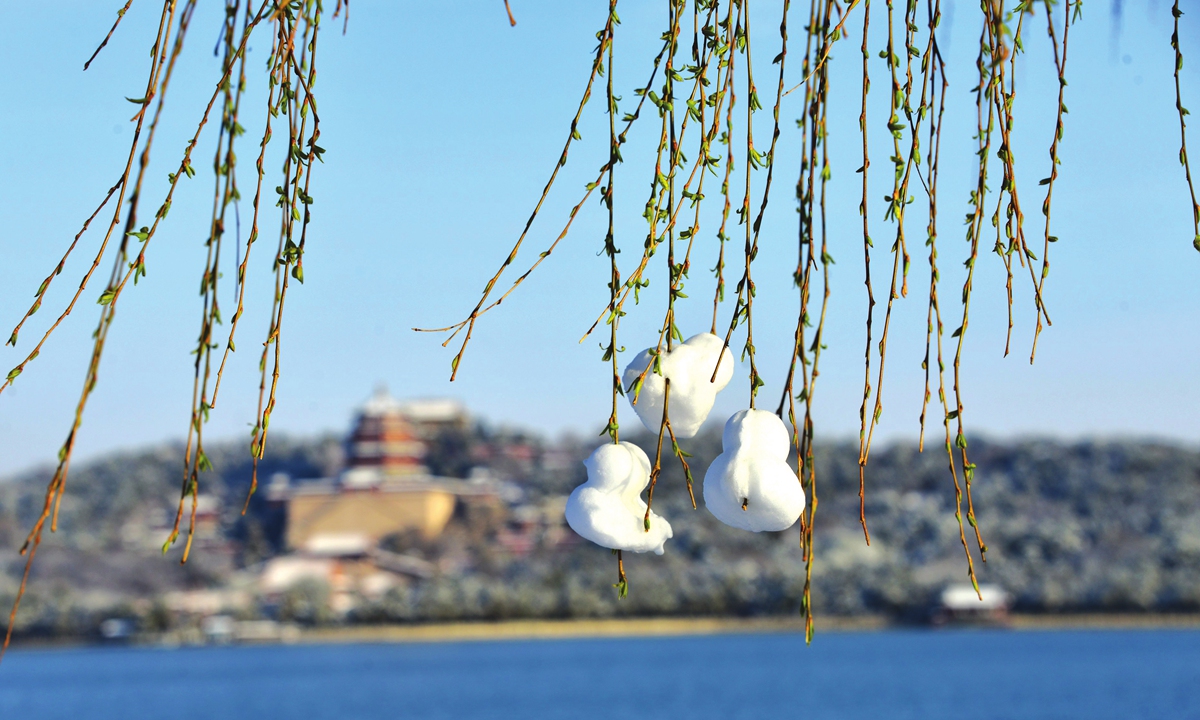 The Summer Palace in Beijing welcomes sunshine after two days of snow on March 19, 2022. A tourist made three snow ducks and hang them in a tree, attracting a crowd of visitors to take photos. Photo: IC
