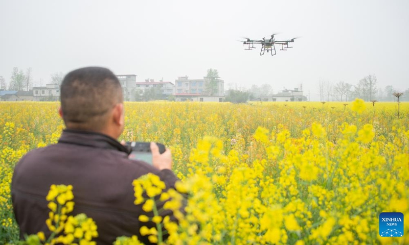 A farmer operates a drone in a field in Qingshan Town of Chongyang County, central China's Hubei Province, on the date of Chunfen, which falls on March 20, 2022.Photo:Xinhua