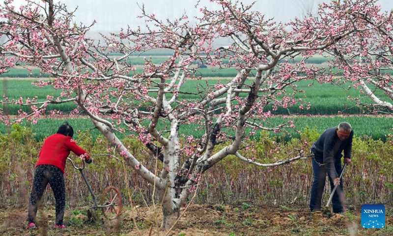 Farmers work in the field in Wuma Town of Bozhou, east China's Anhui Province, on the date of Chunfen, which falls on March 20, 2022.Photo:Xinhua