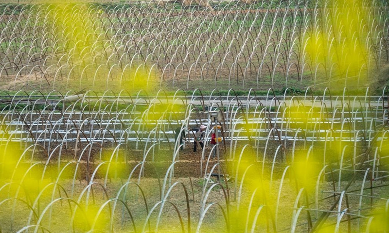 Farmers work in the field in Guangshun Town of Changshun County, southwest China's Guizhou Province, on the date of Chunfen, which falls on March 20, 2022.Photo:Xinhua