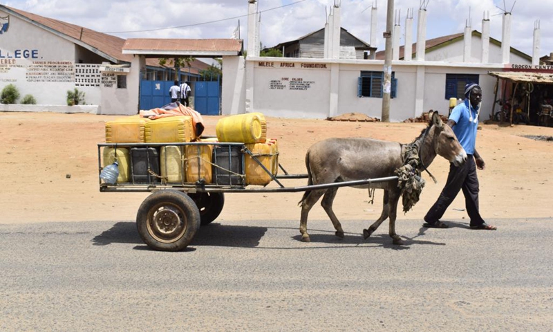 A man pulls a donkey with jerrycans for water transportation in Kibwezi, Makueni County, Kenya, Nov. 1, 2021.(Photo: Xinhua)