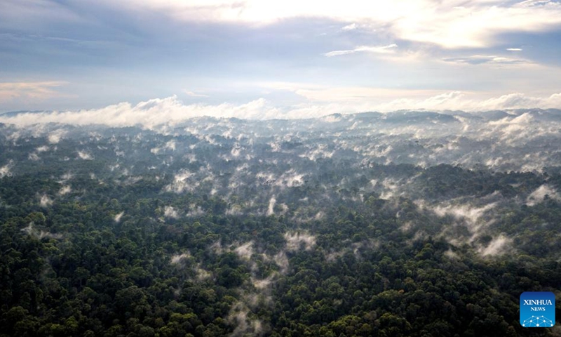 Aerial photo taken on March 21, 2022 shows forests in Khao Yai National Park, Thailand. Khao Yai National Park is the first national park in Thailand, with a total area of about 2,168 square kilometers. The annual International Day of Forests is marked on March 21.(Photo: Xinhua)