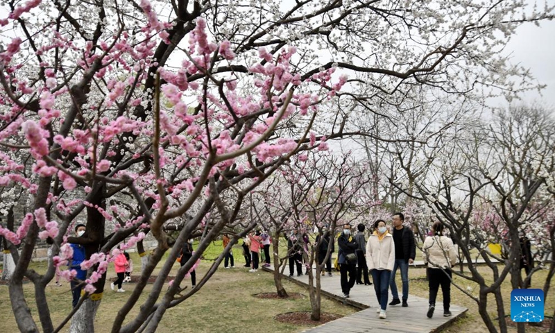 People view blooming flowers at the Beijing Ming Dynasty City Wall Relics Park in Beijing, capital of China, March 26, 2022.Photo:Xinhua