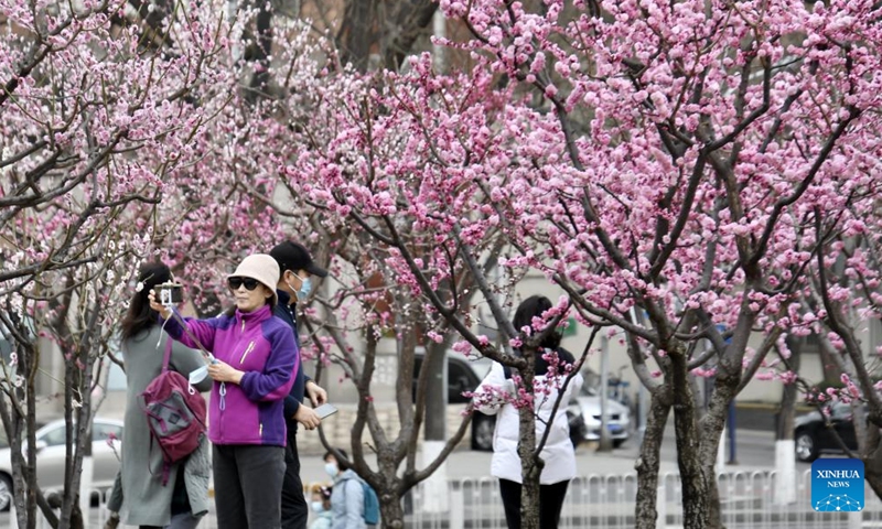 People view blooming flowers at the Beijing Ming Dynasty City Wall Relics Park in Beijing, capital of China, March 26, 2022.Photo:Xinhua