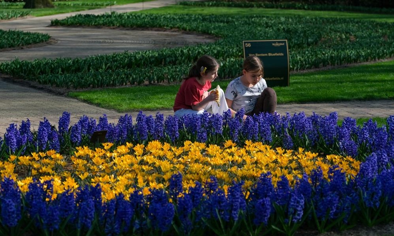 People view blooming tulips at the Keukenhof park in Lisse, the Netherlands, March 26, 2022.Photo:Xinhua