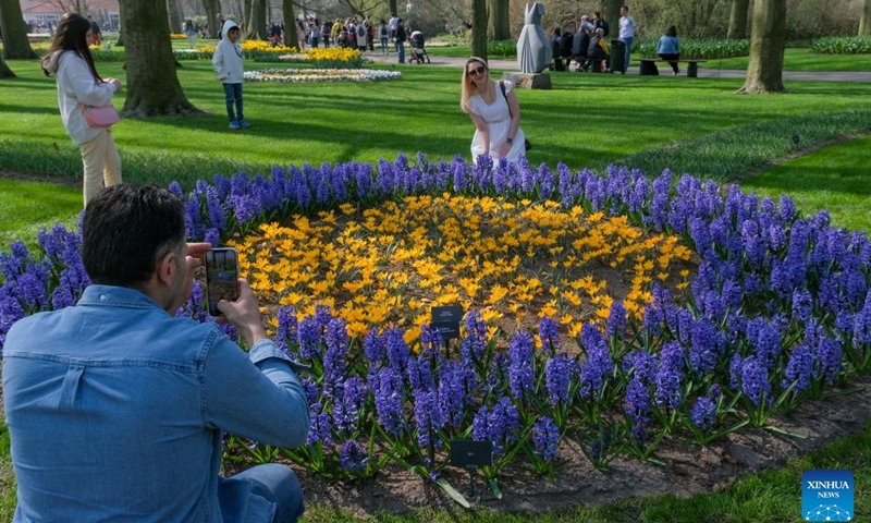 A woman poses for photos at the Keukenhof park in Lisse, the Netherlands, March 26, 2022.Photo:Xinhua