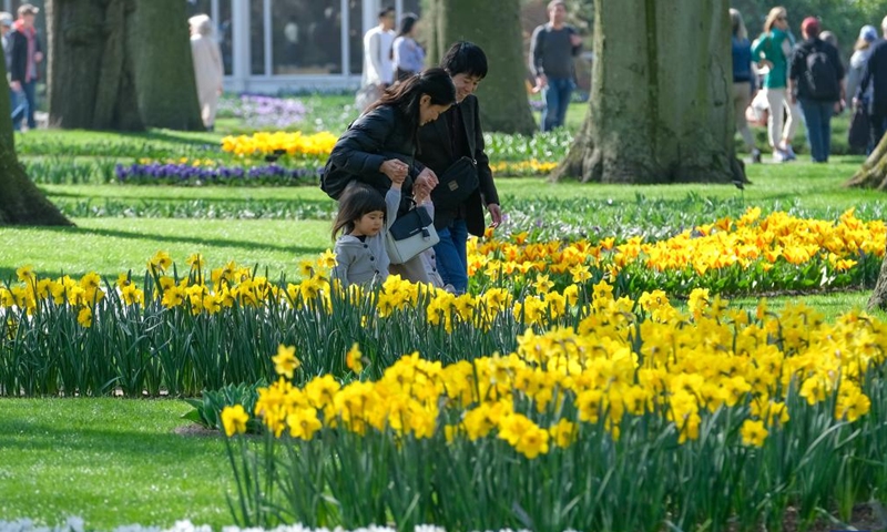 People tour at the Keukenhof park in Lisse, the Netherlands, March 26, 2022.Photo:Xinhua